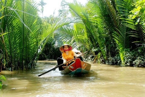 Tour Miền Tây: Thuyền chèo tay bên dừa nước 