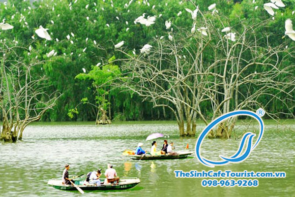 Du lịch Ninh Bình chiêm ngưỡng vườn chim Thung Nham