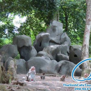 Tour Du Lịch Cát Bà – Vịnh Lan Hạ – Đảo Khỉ 1 Ngày