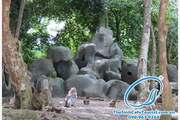 Tour du lịch Cát Bà – Vịnh Lan Hạ – Đảo khỉ 1 ngày