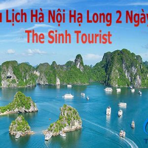 Tour Du Lịch Hà Nội Hạ Long 2 Ngày 1 Đêm – The Sinh Tourist