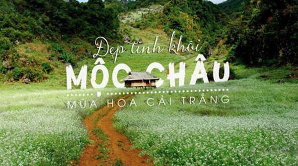 Tour Du Lich Moc Chau 1 Ngay00001 900x503