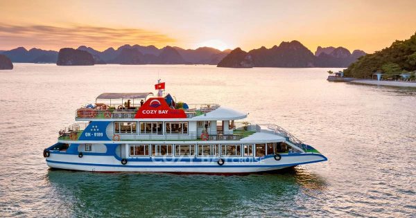 Du Thuyền Cozy Bay Premium Cruise