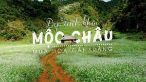 Tour Du Lich Moc Chau 1 Ngay00001