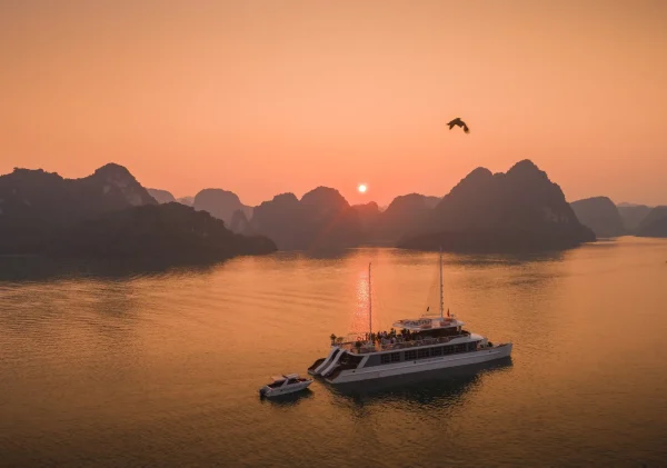 The Catba Catamaran Premium Du Thuyen Cat Ba