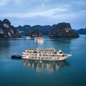 Aqua Elegance Cruise Ha Long 2 Ngay 1 Dem 1