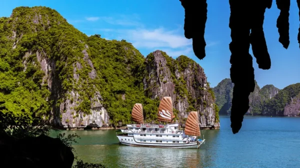 Bhaya Classic Cruise – Trải Nghiệm Du Thuyền Đẳng Cấp Tại Vịnh Hạ Long