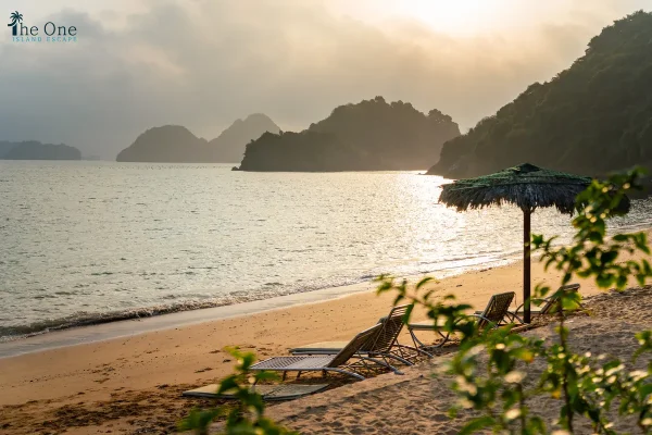 Paradise Island Dao Thien Duong Catba Catamaran Thesinhcafetouristcomvn 10