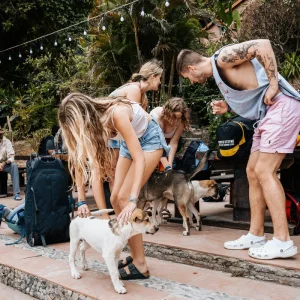 Tour Cát Bà – Trải Nghiệm Đảo Thiên Đường 2 Ngày 1 Đêm Đầy Cảm Xúc