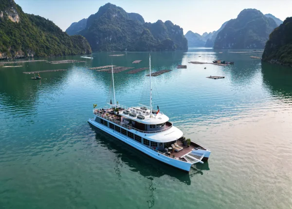 Tiệc Tối Du Thuyền 5 Sao – Trải Nghiệm Vịnh Lan Hạ 3 Tiếng Hoàng Hôn Lãng Mạn