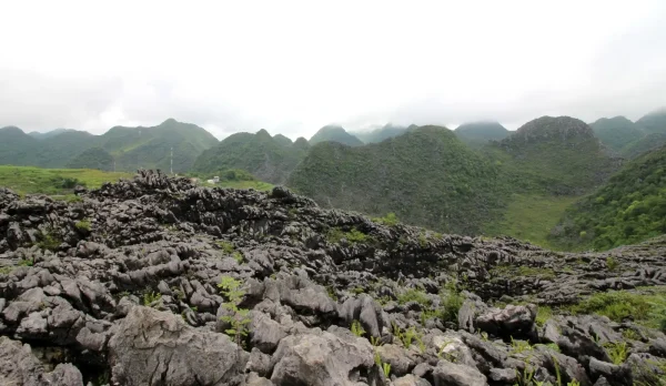 Tour Hà Giang 2 Ngày 1 Đêm – Khám Phá Cao Nguyên Đá Và Sông Nho Quế