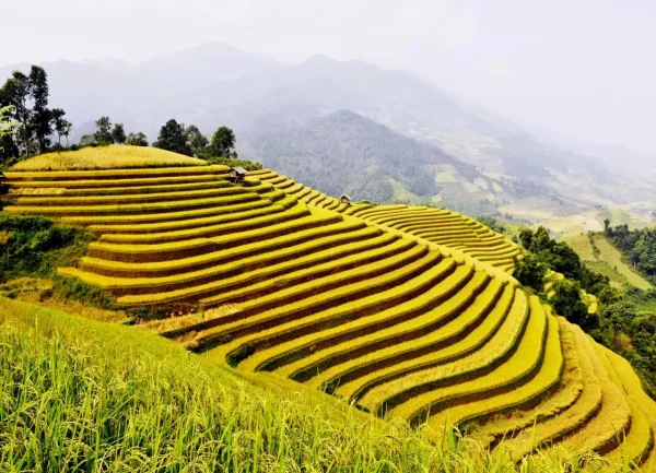 Tour Hoàng Su Phì Xín Mần Bắc Hà 3N2Đ – Khám Phá Ruộng Bậc Thang Và Chợ Phiên Vùng Cao