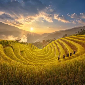 Tour Hoàng Su Phì Xín Mần Bắc Hà 3N2Đ – Khám Phá Ruộng Bậc Thang Và Chợ Phiên Vùng Cao