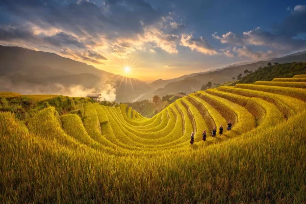 Tour Hoàng Su Phì Xín Mần Bắc Hà 3N2Đ – Khám Phá Ruộng Bậc Thang Và Chợ Phiên Vùng Cao