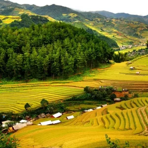 Tour Ninh Bình Pù Luông 3N2Đ – Khám Phá Tam Cốc, Hang Múa Và Pù Luông