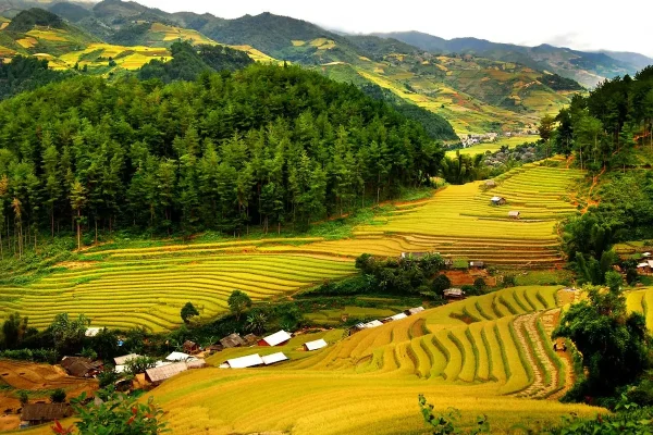 Tour Ninh Bình Pù Luông 3N2Đ – Khám Phá Tam Cốc, Hang Múa Và Pù Luông