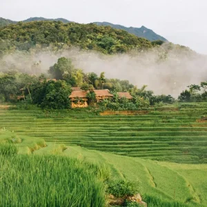 Tour Ninh Bình Pù Luông 3N2Đ – Khám Phá Tam Cốc, Hang Múa Và Pù Luông