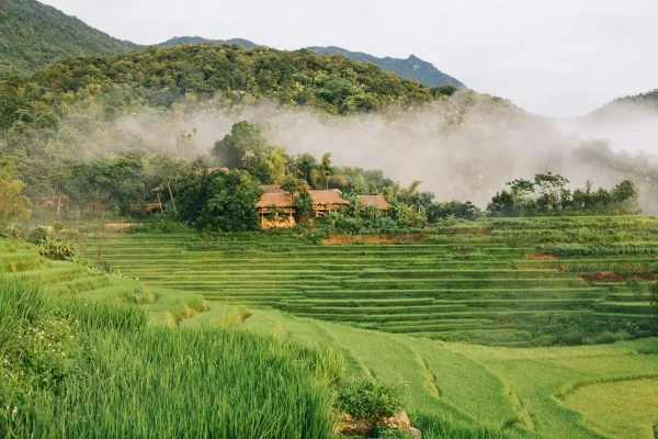 Tour Ninh Bình Pù Luông 3N2Đ – Khám Phá Tam Cốc, Hang Múa Và Pù Luông