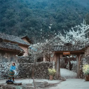 Tour Ninh Bình Hà Giang 4 Ngày 3 Đêm – Khám Phá Di Sản Và Cao Nguyên Đá Hùng Vĩ