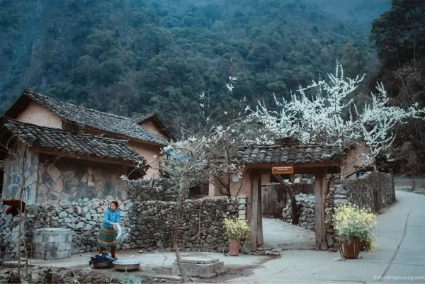 Tour Ninh Bình Hà Giang 4 Ngày 3 Đêm – Khám Phá Di Sản Và Cao Nguyên Đá Hùng Vĩ
